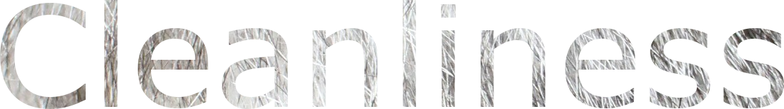Cleanliness Logo